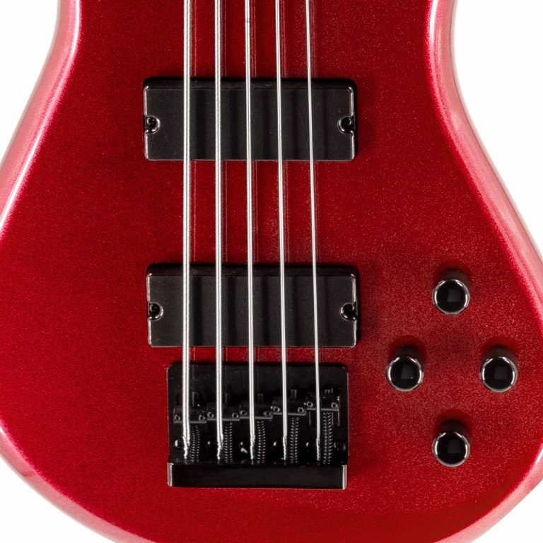 ISSPTPERFORMR5011.jpg