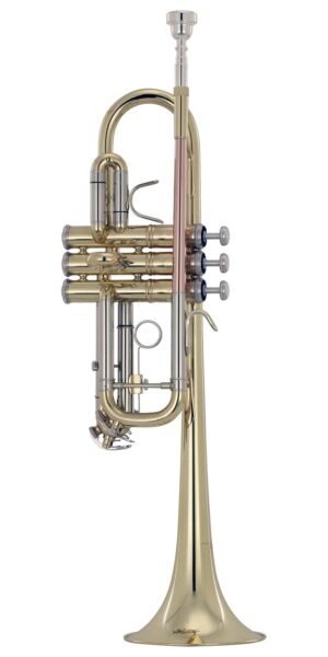 TROMPETA WESNER C/ESTUCHE   PTR2000C-L
