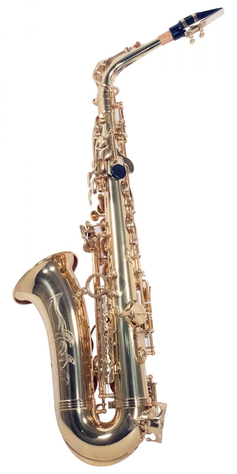 IVWENSSA1000G001.jpg