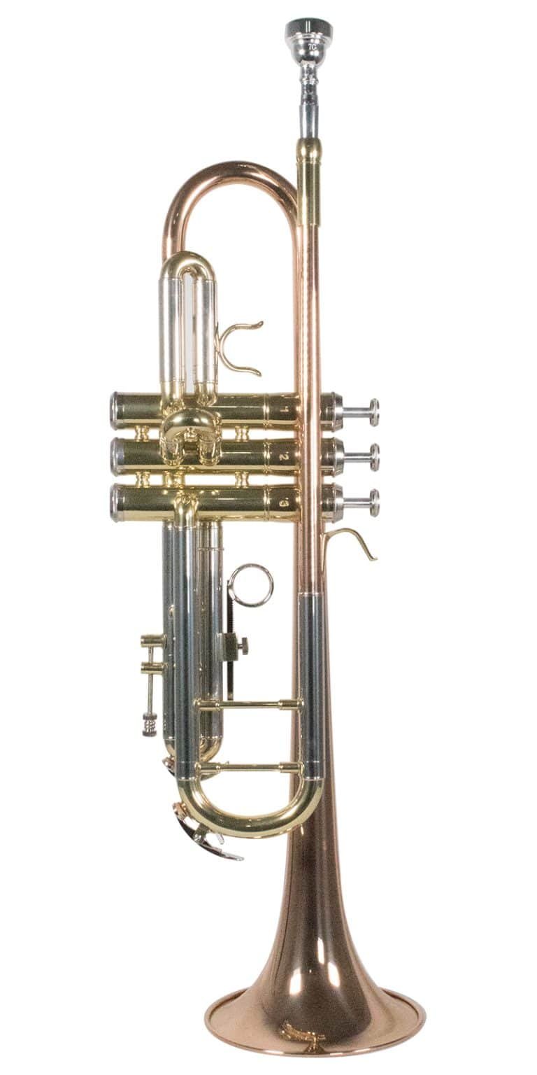 IVWENSTR1100G001.jpg