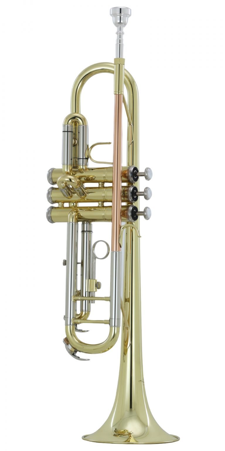 IVWENSTR1200L.jpg