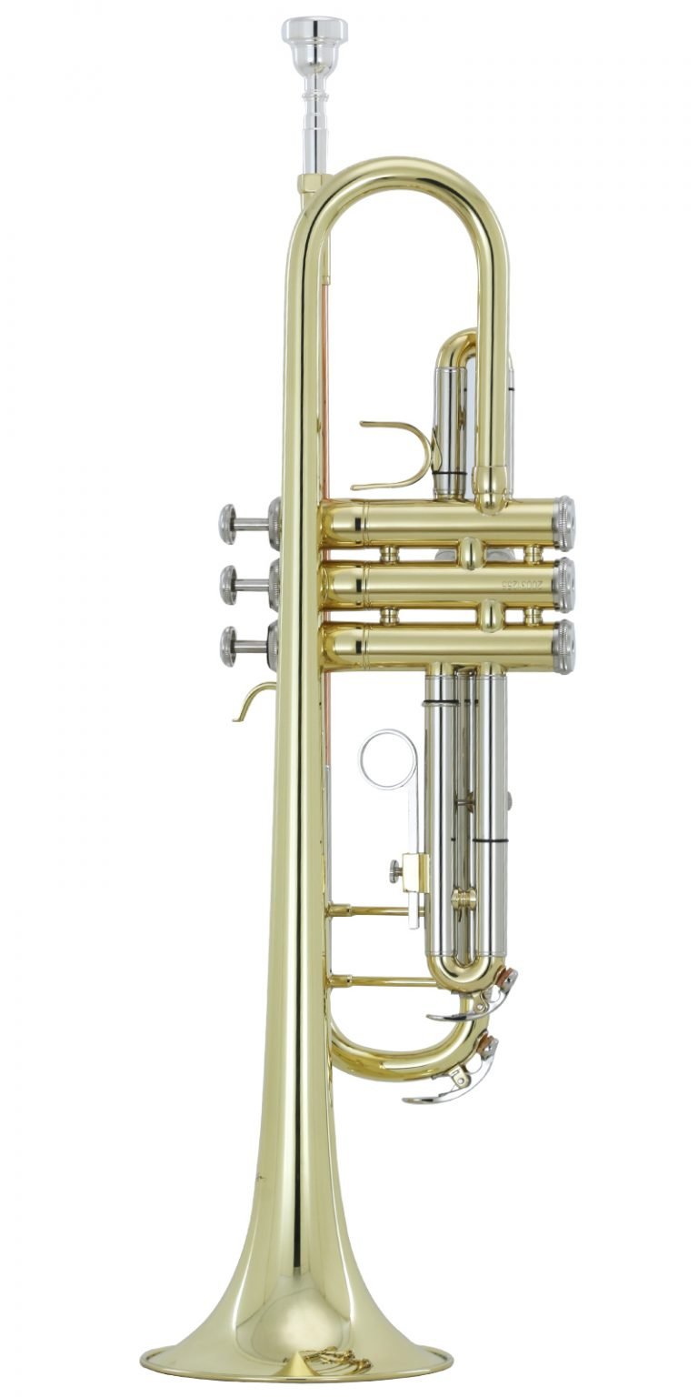 IVWENSTR1200L004.jpg