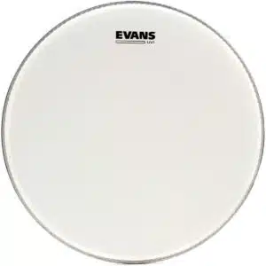 PARCHE EVANS 12      MOD. B12UV1