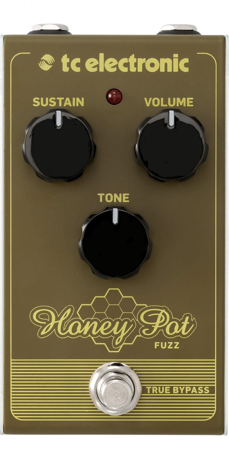 VATCEHONEYPOTF001.jpg