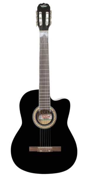 GUITARRA OSCAR SCHMIDT E/AC OC10CE BIND.