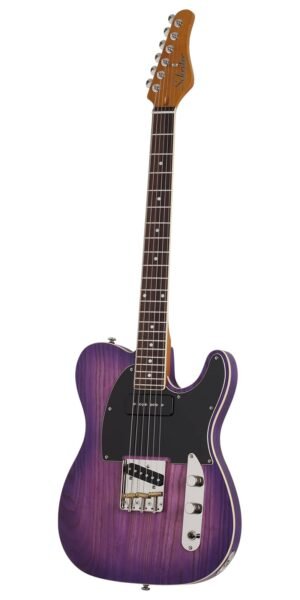 GUITARRA SCHECTER ELECT. PT SPECIAL