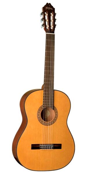 GUITARRA WASHBURN CLASICA MOD.C40