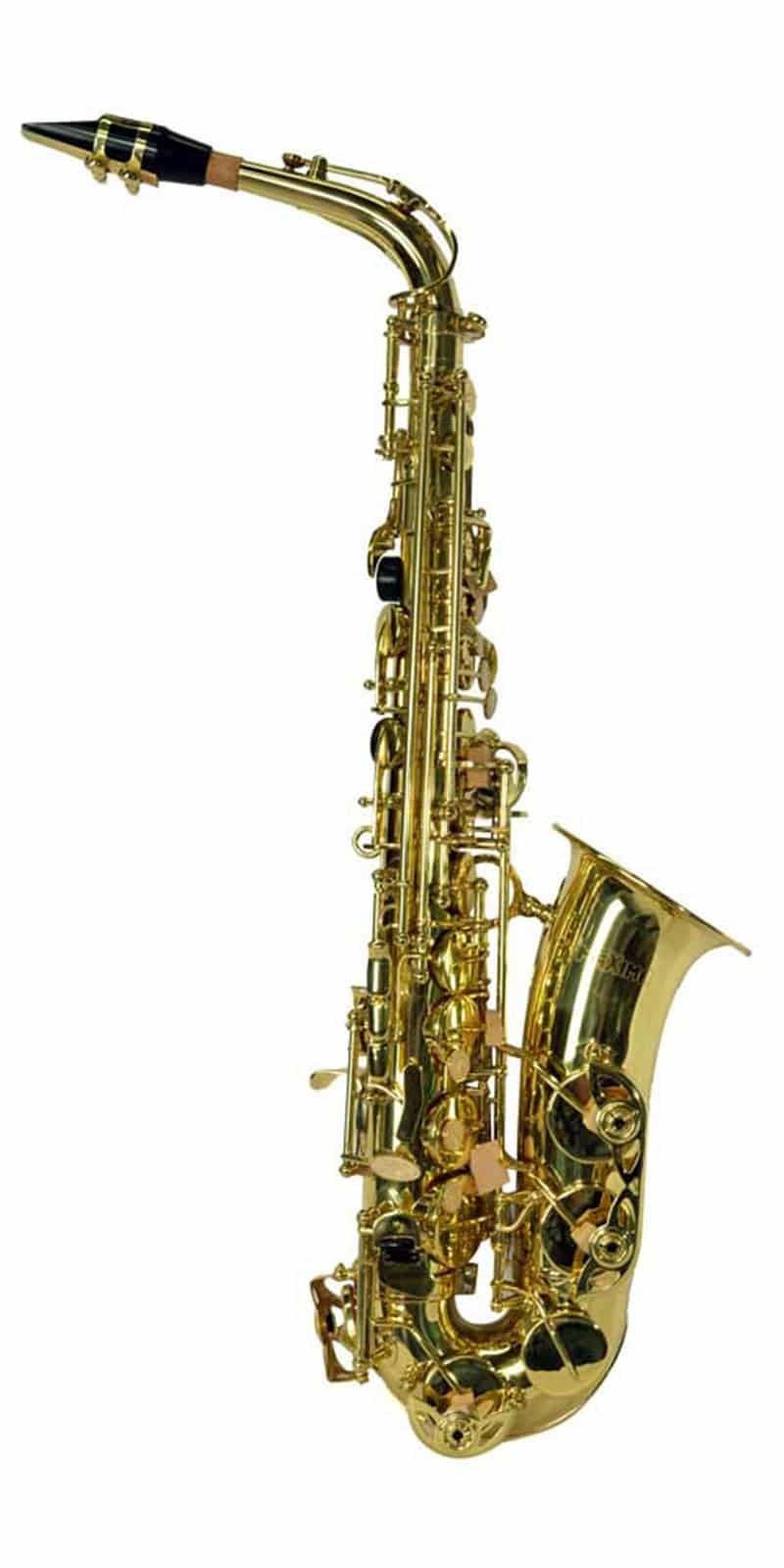 SAXOFON MAXIMA ALTO  MOD. SXC-21A/L