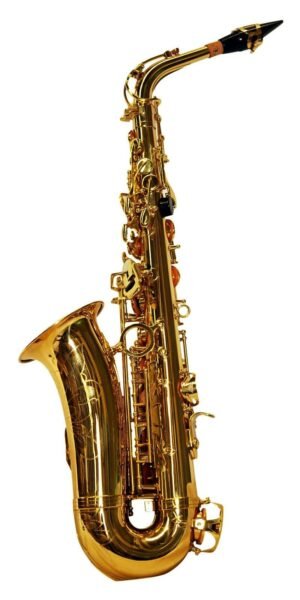 SAXOFON MAXIMA ALTO  MOD. SXC-51A/L