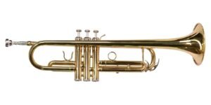 TROMPETA MAXIMA CON ESTUCHE TTC-234/L