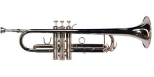 TROMPETA MAXIMA CON ESTUCHE TTC-234/N