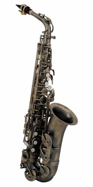 SAXOFON ROY BENSON   MOD. AS-202A