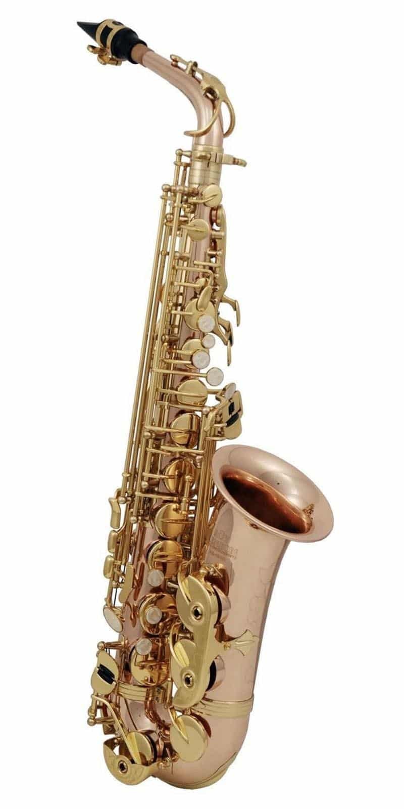 SAXOFON ROY BENSON   MOD. AS-202G