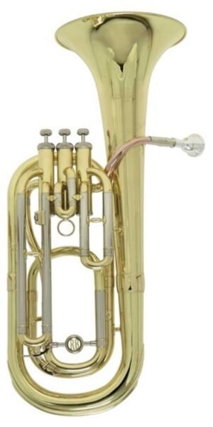 BARITONO ROY BENSON C/ESTUCHE BH-301