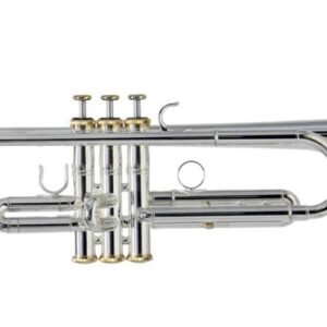 TROMPETA ROY BENSON C/ESTUCHE   CHARLI G