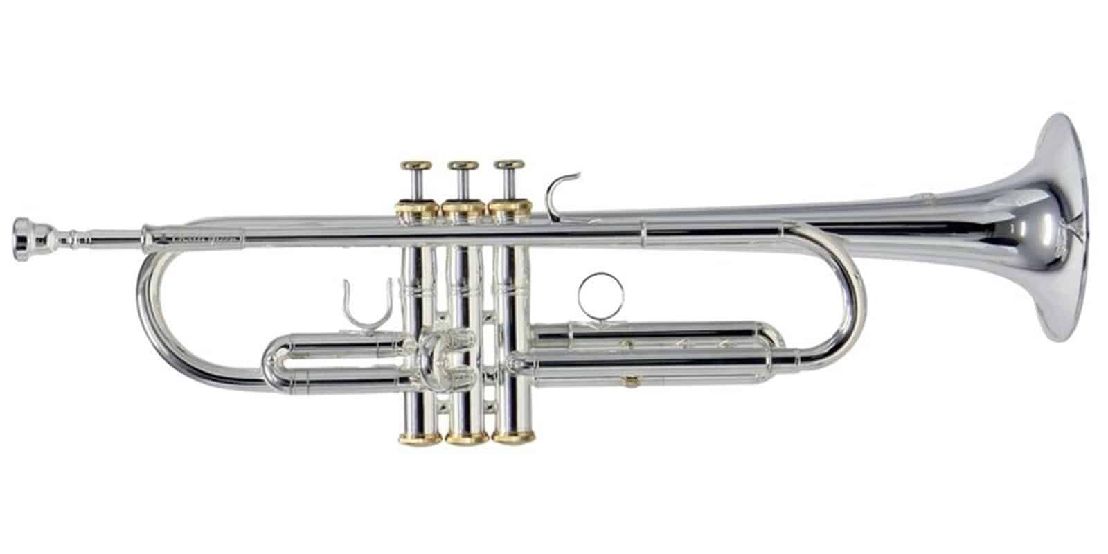 TROMPETA ROY BENSON C/ESTUCHE   CHARLI G