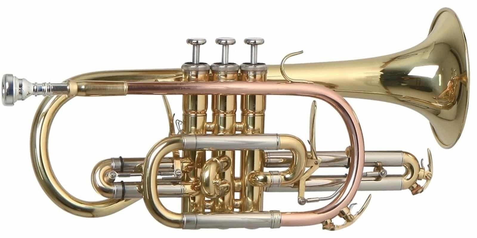 CORNETA ROY BENSON C/ESTUCHE   CR-302