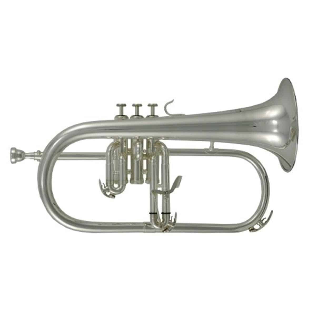 FLISCORNO ROY BENSON C/ESTUCHE FH-302S