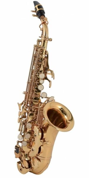 SAXOFON ROY BENSON   MOD. SG-302