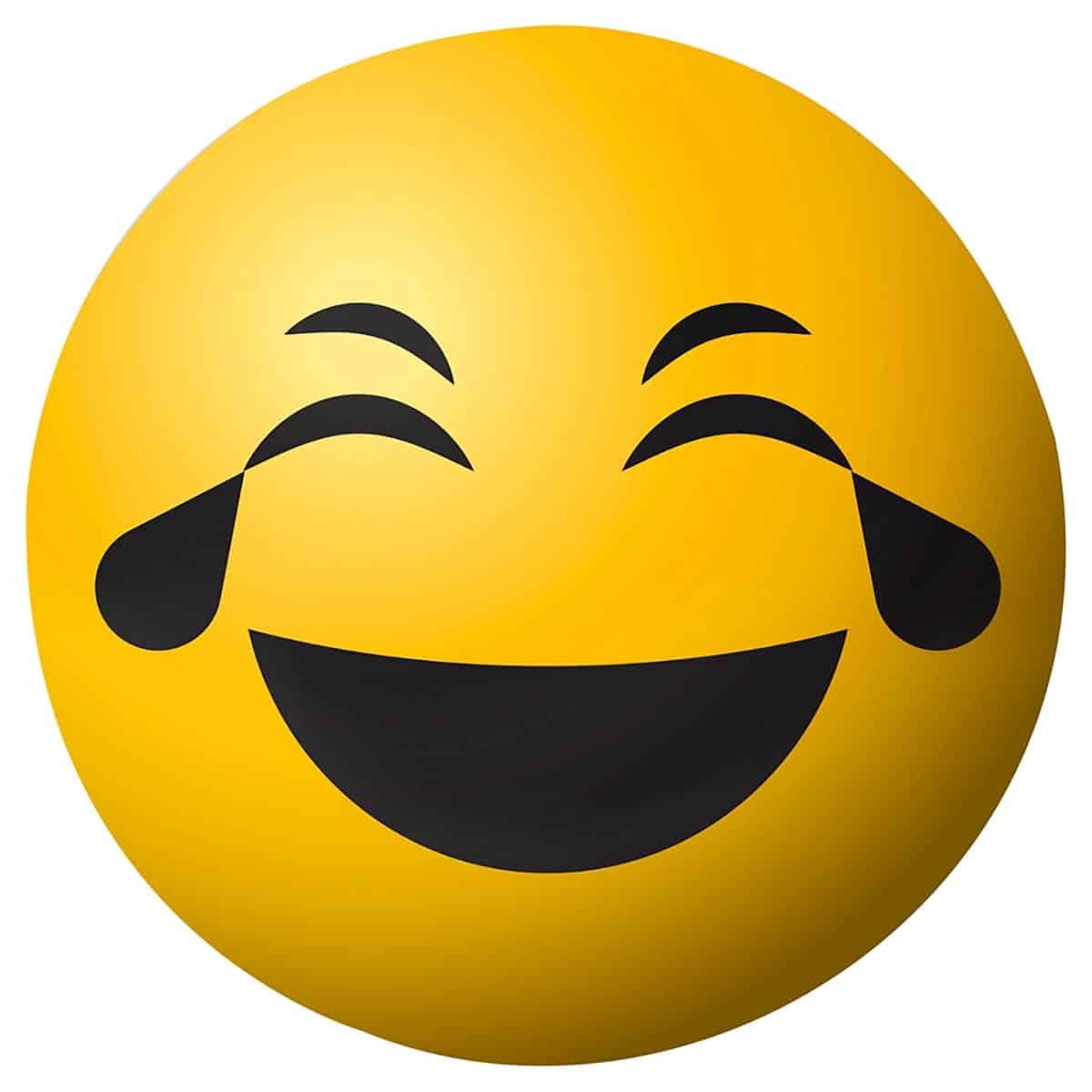 EFECTO (SHAKER) MEINL     MOD. FACE-L