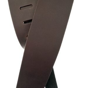 TAHALI PLANET WAVES P/GUIT 25L01-DX