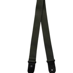 TAHALI PLANET WAVE P/GUIT 50CT02