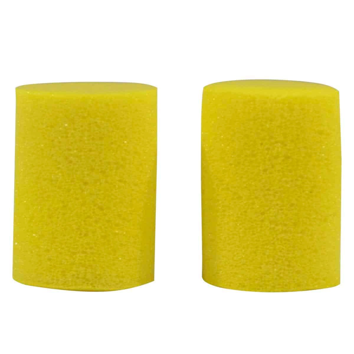 PROTECTOR PLANET WAVE     PWEP1