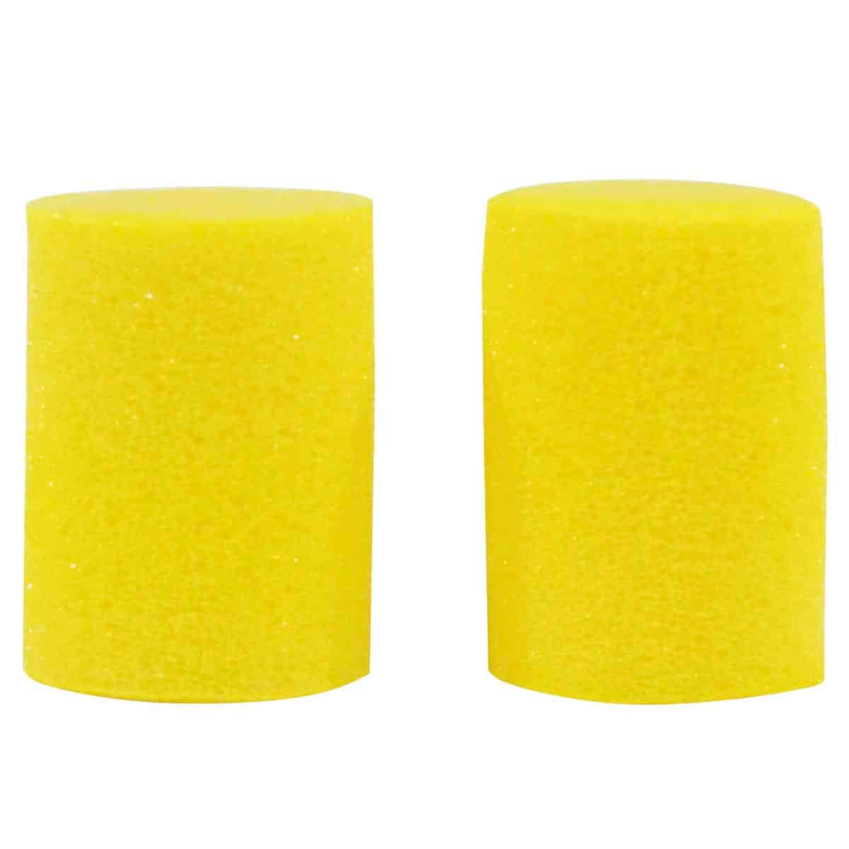 PROTECTOR PLANET WAVE     PWEP100